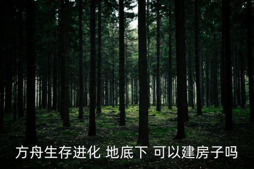 方块方舟手游版怎么做房子，方舟生存进化造房子高度太高够不到怎么做