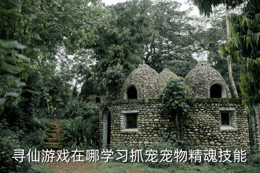 寻仙游戏在哪学习抓宠宠物精魂技能