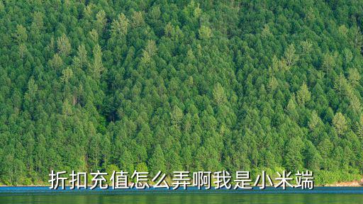 折扣充值怎么弄啊我是小米端