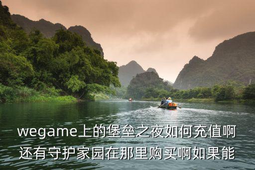 堡垒之夜手游怎么充值视频，wegame上的堡垒之夜如何充值啊还有守护家园在那里购买啊如果能