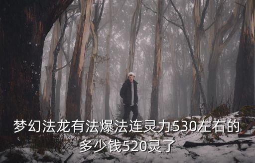 梦幻法龙有法爆法连灵力530左右的多少钱520灵了