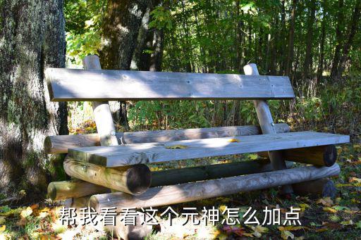 帮我看看这个元神怎么加点