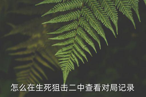 怎么在生死狙击二中查看对局记录
