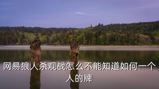 网易狼人杀观战怎么不能知道如何一个人的牌