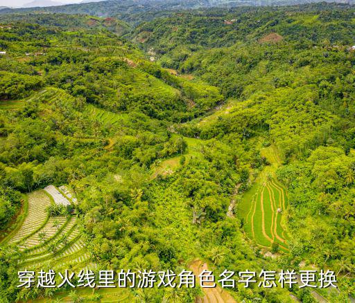手游苹果cf怎么改名，cf 游戏怎么改名