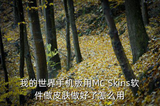我的世界手机版用MC Skins软件做皮肤做好了怎么用