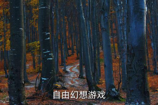自由幻想游戏