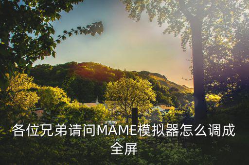 各位兄弟请问MAME模拟器怎么调成全屏