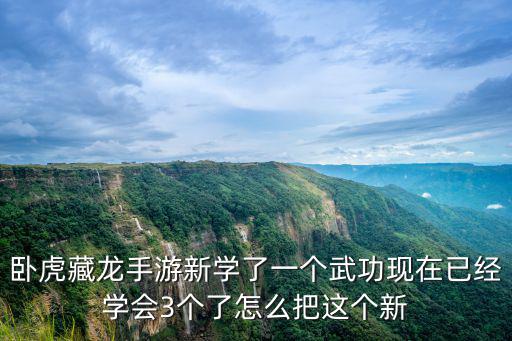 卧虎藏龙手游怎么挂，手机游戏卧虎藏龙挂机怎么换药 一直用绿药