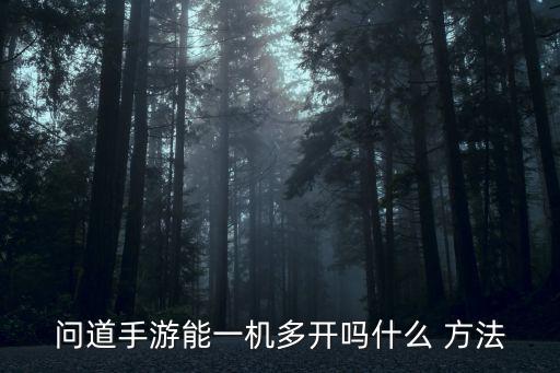 问道手游能一机多开吗什么 方法