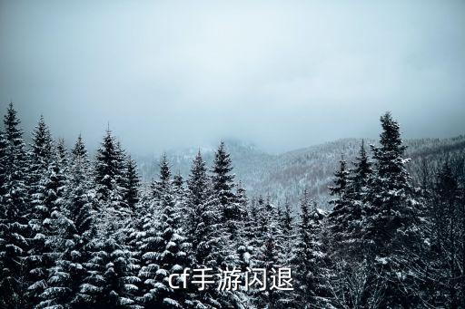 cf手游背包闪退怎么办，如何让cf手游不闪退