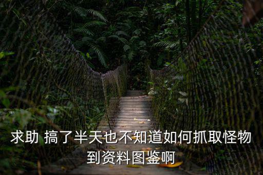 求助 搞了半天也不知道如何抓取怪物到资料图鉴啊