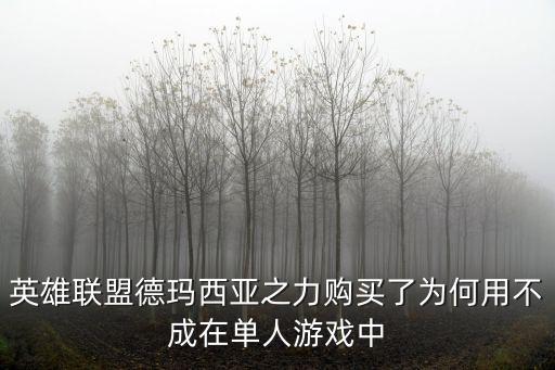 英雄联盟德玛西亚之力购买了为何用不成在单人游戏中