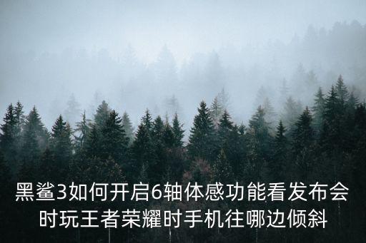 黑鲨手游技能怎么设置，黑鲨3如何开启6轴体感功能看发布会时玩王者荣耀时手机往哪边倾斜