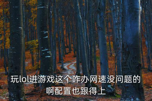 玩lol进游戏这个咋办网速没问题的啊配置也跟得上