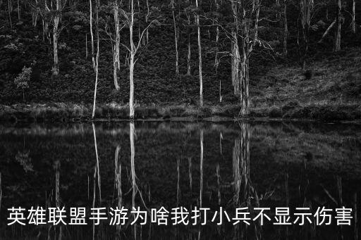 英雄联盟手游为啥我打小兵不显示伤害