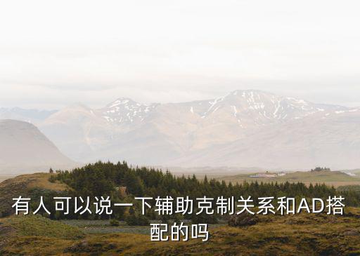 有人可以说一下辅助克制关系和AD搭配的吗
