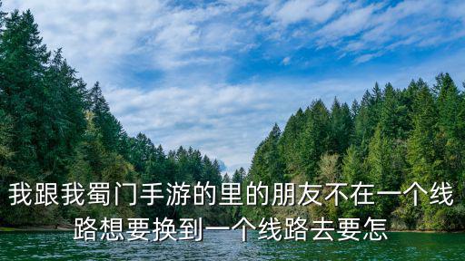 我跟我蜀门手游的里的朋友不在一个线路想要换到一个线路去要怎
