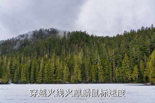 cf手游火麒麟鼠标怎么调，穿越火线火麒麟鼠标速度在哪里调