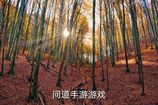 问道手游游戏
