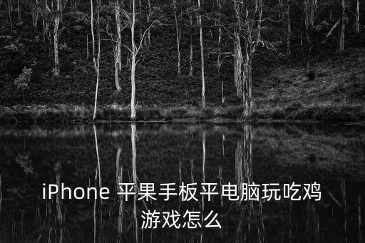 苹果怎么手游吃鸡，iPhone 平果手板平电脑玩吃鸡游戏怎么