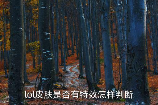 lol皮肤是否有特效怎样判断