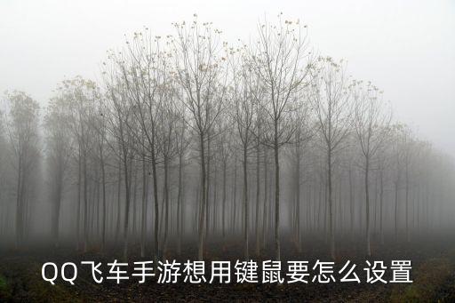手游蓝牙键盘鼠标怎么设置，QQ飞车手游想用键鼠要怎么设置