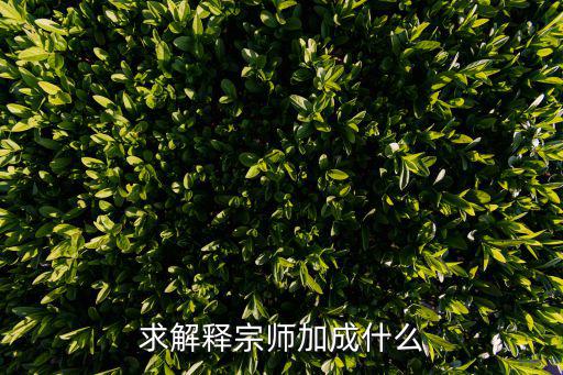 求解释宗师加成什么