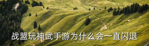 战盟玩神武手游为什么会一直闪退