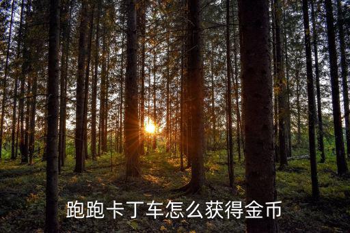 跑跑卡丁车怎么获得金币
