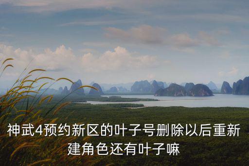 神武4预约新区的叶子号删除以后重新建角色还有叶子嘛
