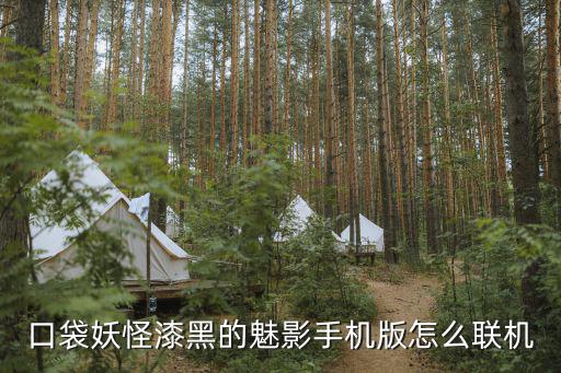 口袋妖怪漆黑的魅影手机版怎么联机