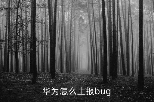 华为怎么上报bug