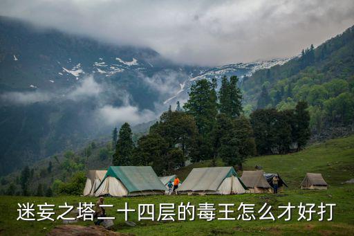 迷妄之塔二十四层的毒王怎么才好打