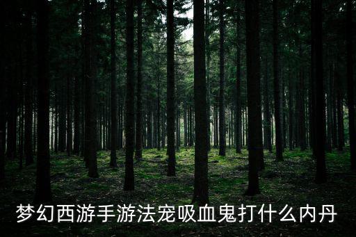 梦幻西游手游法宠吸血鬼打什么内丹