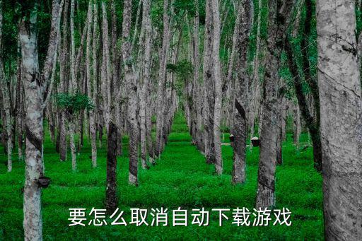 要怎么取消自动下载游戏
