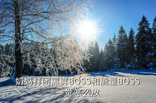 奶妈打团黑雾BOSS和能量BOSS一觉怎么放