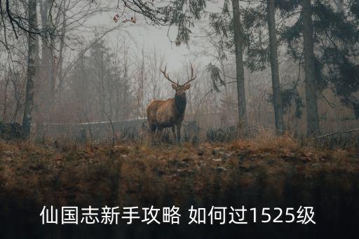 仙国志新手攻略 如何过1525级