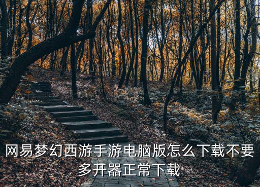 网易梦幻西游手游电脑版怎么下载不要多开器正常下载