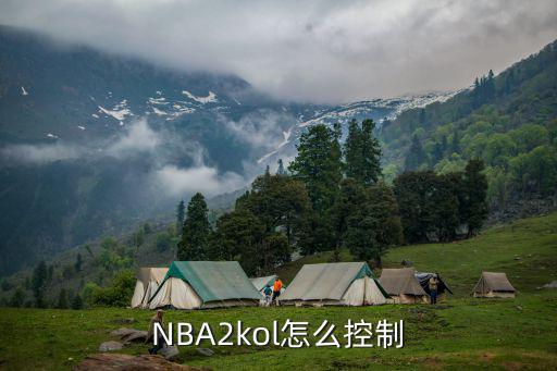 NBA2kol怎么控制