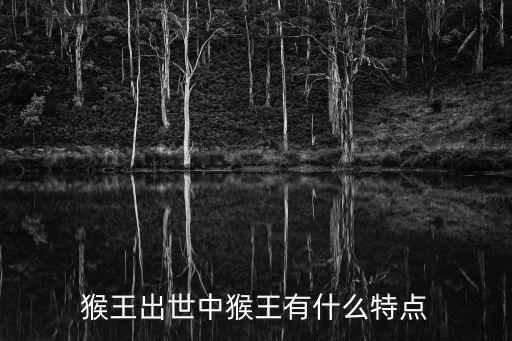 猴王出世中猴王有什么特点