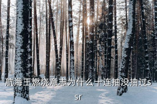 航海王燃烧意志为什么十连抽没抽过ssr