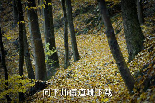 问下师傅道哪下载