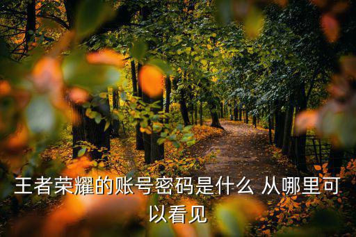 王者荣耀的账号密码是什么 从哪里可以看见