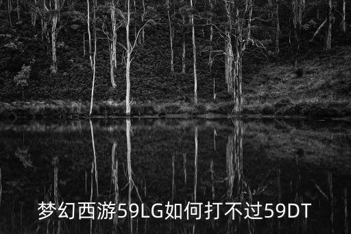 梦幻西游59LG如何打不过59DT