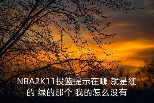 2k21手游投篮怎么按绿，一个袋子里装着一些球从中摸出一个球这个球是红球的可能性是1
