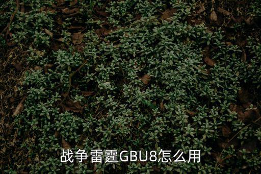 战争雷霆GBU8怎么用