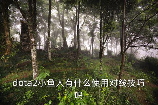 dota2小鱼人有什么使用对线技巧吗