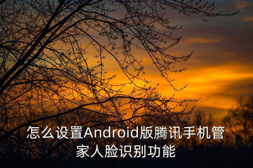 2k20手游安卓怎么改人脸，安卓50怎么才能弄个人脸识别