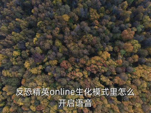反恐精英online生化模式里怎么开启语音